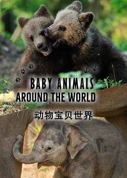 hth最新版本下载